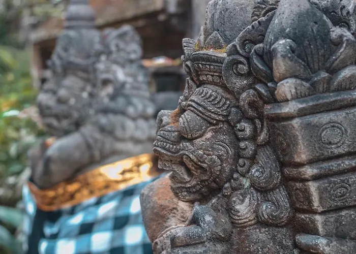 Konukevi Aji
